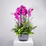 İthal Damalı Obje İçerisinde 6 Dal Mor Orkide