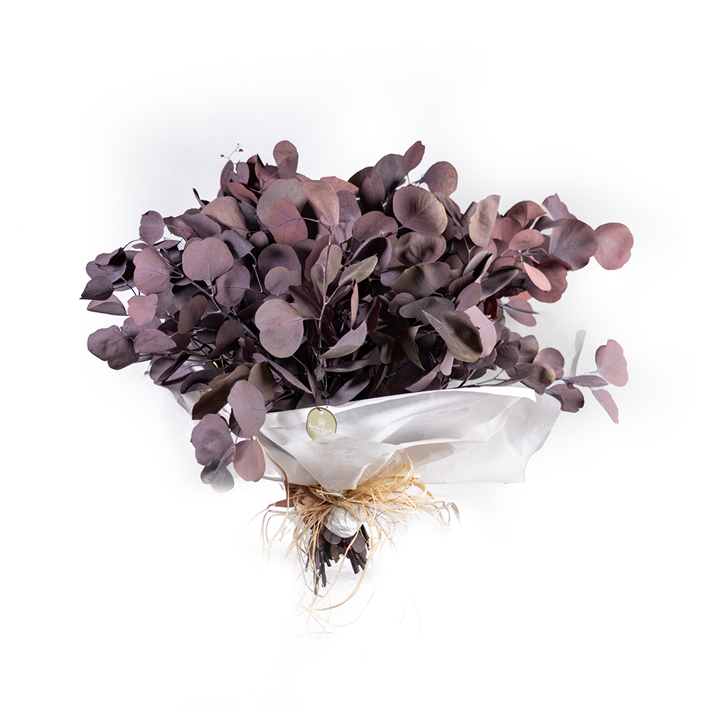 dscf7031_1000px-webp Şoklanmış Okaliptus Buket - Görsel 1