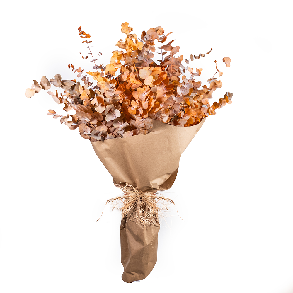 dscf7037_1000px-webp Şoklanmış Okaliptus Buket - Görsel 1